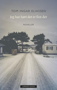 Jeg har hørt det er fint der (ebok) av Tom In