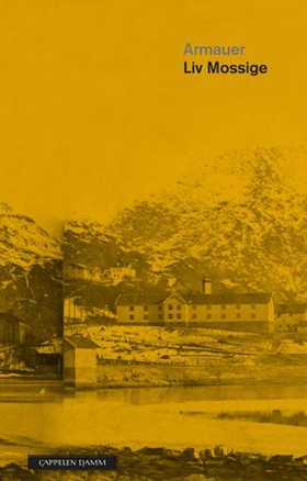 Armauer (ebok) av Liv Johanne Mossige