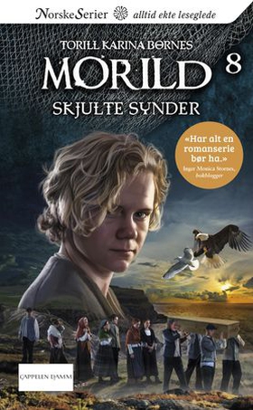 Skjulte synder (ebok) av Torill Karina Børnes