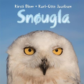 Snøugla (lydbok) av Kirsti Blom, Karl-Otto Ja