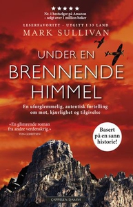 Under en brennende himmel (ebok) av Mark Sull