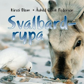 Svalbardrypa (lydbok) av Kirsti Blom