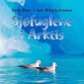 Sjøfuglene i Arktis