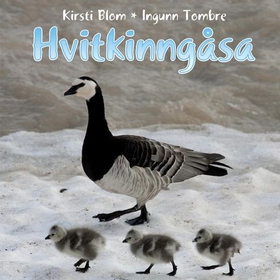 Hvitkinngåsa (lydbok) av Kirsti Blom