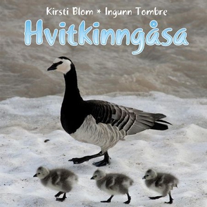 Hvitkinngåsa (lydbok) av Kirsti Blom, Ingunn