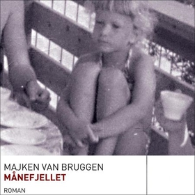 Månefjellet - roman (lydbok) av Majken van Bruggen