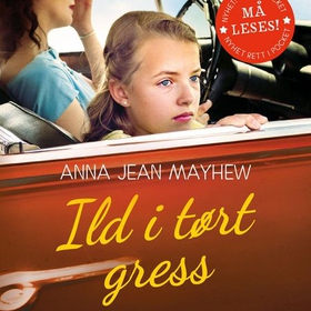 Ild i tørt gress (lydbok) av Anna Jean Mayhew