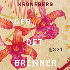 Der det brenner (lydbok) av Benedicte Meyer Kroneberg