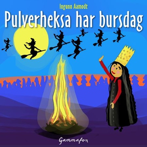 Pulverheksa har bursdag (lydbok) av Ingunn Aa
