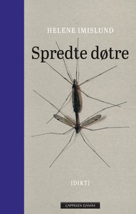 Spredte døtre (ebok) av Helene Imislund