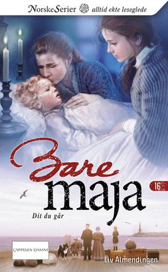 Dit du går (ebok) av Liv Almendingen