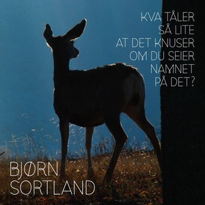 Kva tåler så lite at det knuser om du seier n