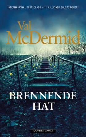 Brennende hat (ebok) av Val McDermid