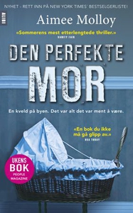 Den perfekte mor (ebok) av Aimee Molloy