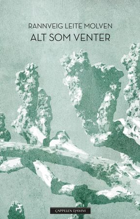 Alt som venter - roman (ebok) av Rannveig Leite Molven