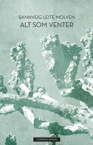 Alt som venter (ebok) av Rannveig Leite Molve