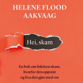Hei, skam (lydbok) av Helene Flood Aakvaag
