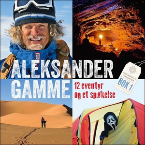 12 eventyr og et spøkelse (lydbok) av Aleksan