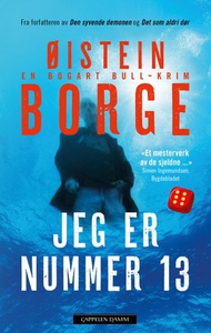 Jeg er nummer 13 (ebok) av Øistein Borge