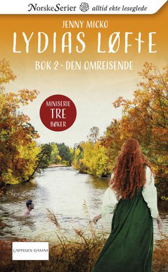 Den omreisende (ebok) av Jenny Micko