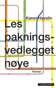 Les pakningsvedlegget nøye (ebok) av Karen Ha