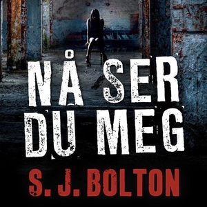 Nå ser du meg (lydbok) av S.J. Bolton