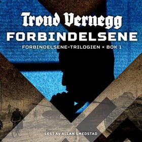 Forbindelsene (lydbok) av Trond Vernegg
