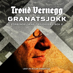 Granatsjokk (lydbok) av Trond Vernegg