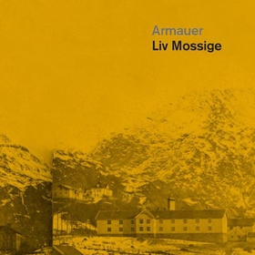 Armauer (lydbok) av Liv Mossige