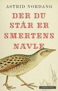 Der du står er smertens navle (ebok) av Astri
