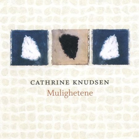 Mulighetene (lydbok) av Cathrine Knudsen