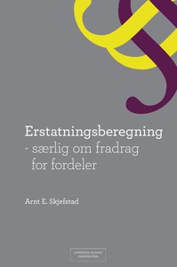 Erstatningsberegning (ebok) av Arnt Erlend Sk