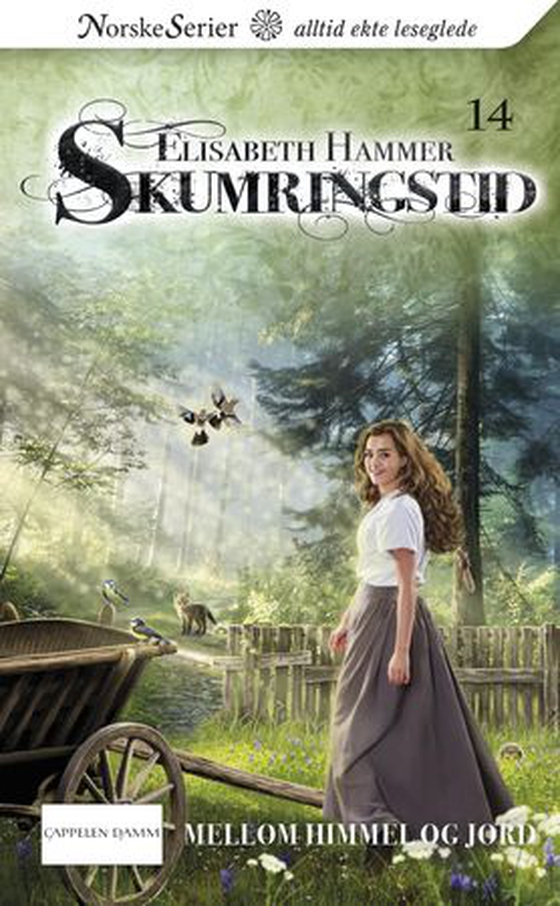 Mellom himmel og jord