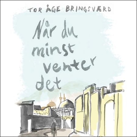 Når du minst venter det (lydbok) av Tor Åge Bringsværd