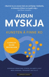 Kunsten å finne ro (ebok) av Audun Myskja