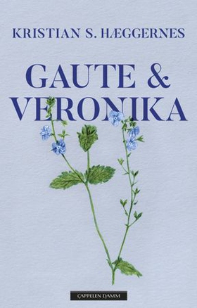 Gaute & Veronika (ebok) av Kristian S. Hæggernes