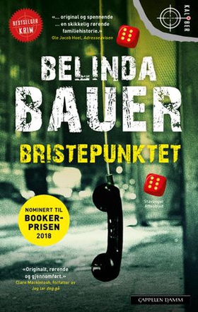 Bristepunktet (ebok) av Belinda Bauer