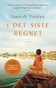 I det siste regnet (ebok) av Janesh Vaidya