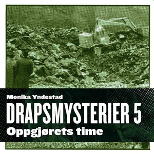Oppgjørets time (lydbok) av Monika N. Yndesta