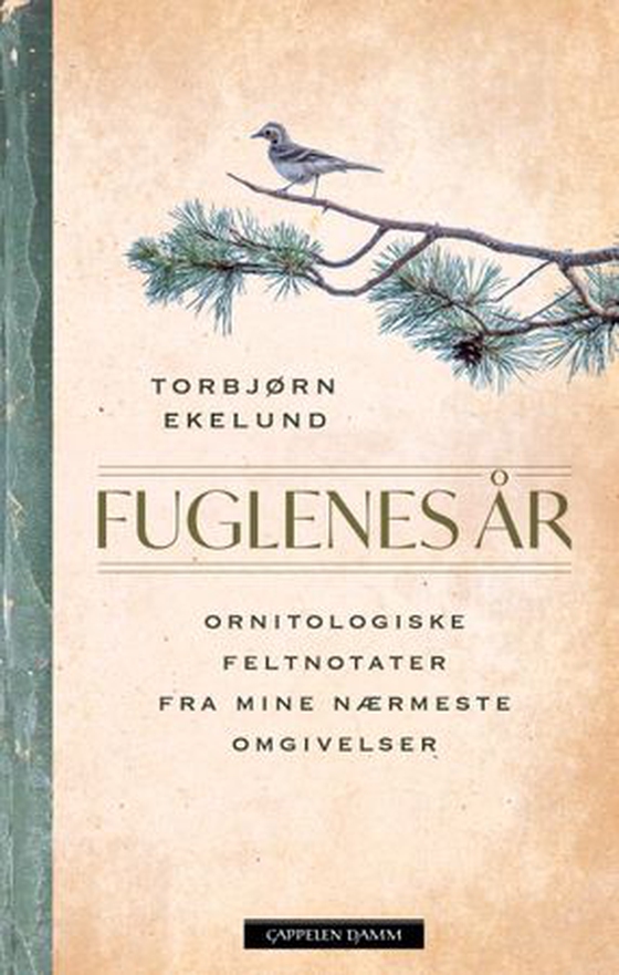 Fuglenes år