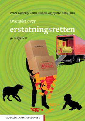Oversikt over erstatningsretten (ebok) av Pet