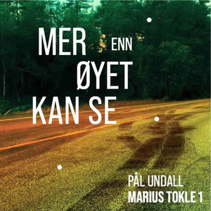 Mer enn øyet kan se (lydbok) av Pål Undall