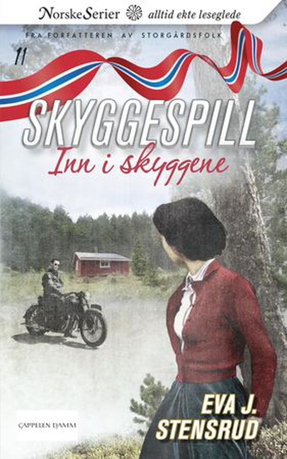 Inn i skyggene (ebok) av Eva J. Stensrud