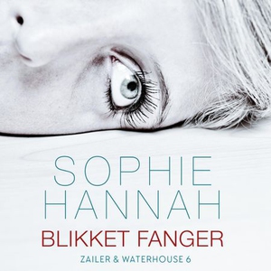 Blikket fanger (lydbok) av Sophie Hannah