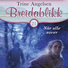 Når alle sover (lydbok) av Trine Angelsen