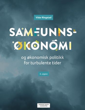 Samfunnsøkonomi og økonomisk politikk for turbulente tider (ebok) av Vidar Ringstad