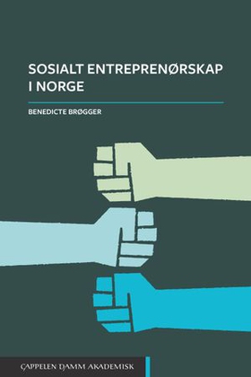 Sosialt entreprenørskap i Norge (ebok) av Benedicte Brøgger