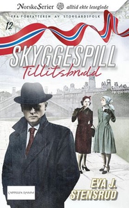 Tillitsbrudd (ebok) av Eva J. Stensrud