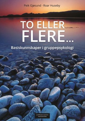 To eller flere - basiskunnskaper i gruppepsykologi (ebok) av Peik Gjøsund