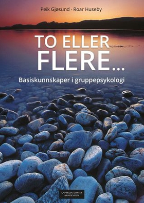To eller flere - basiskunnskaper i gruppepsykologi (ebok) av Peik Gjøsund